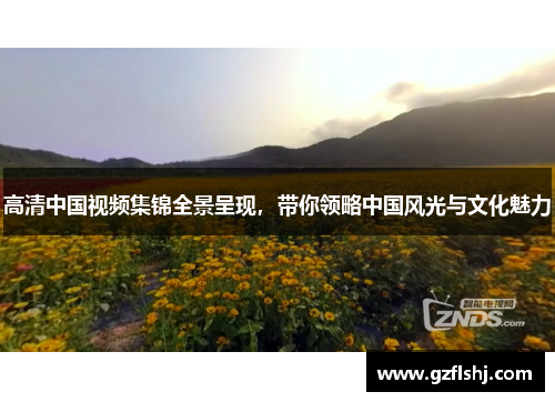 高清中国视频集锦全景呈现，带你领略中国风光与文化魅力