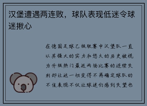 汉堡遭遇两连败，球队表现低迷令球迷揪心